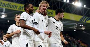 Northern Ireland Faces Heartbreaking 1-0 Loss to Germany