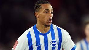 Newcastle's £50m Bid for Joao Pedro Rejected by Brighton