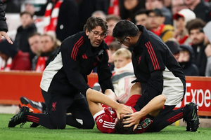 Liverpool Defender Giovanni Leoni Faces Long Injury Layoff with Torn Cruciate Ligament